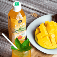 Bebida Aloe Vera - Manga (20x500ml)