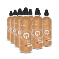 Bebida L-Carnitina ZERO - Ice Tea de Pêssego (12x700ml)